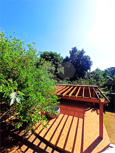 Foto REO1082511