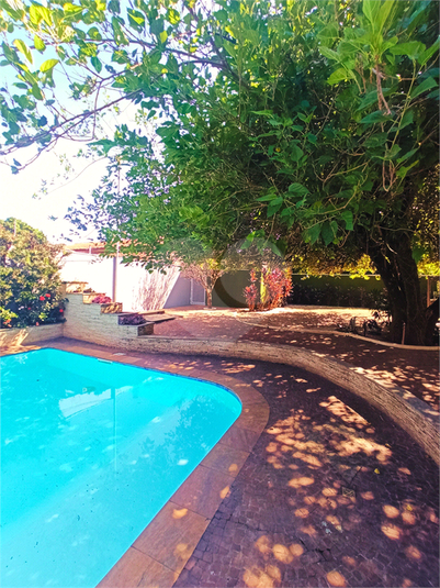 Foto REO1082511