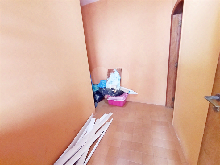 Foto REO1082526