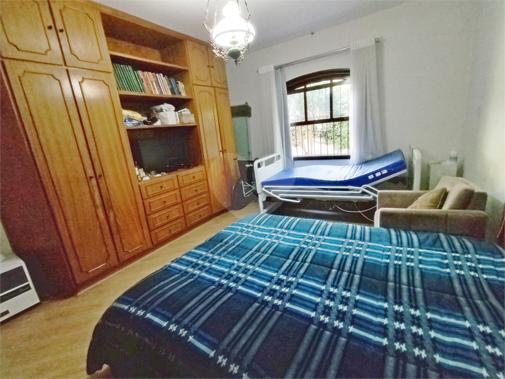 Foto REO1082526