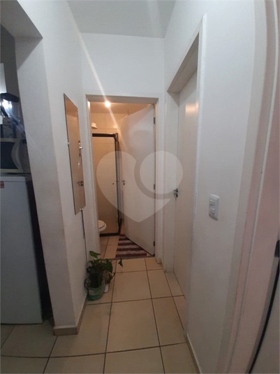 Foto REO1082527