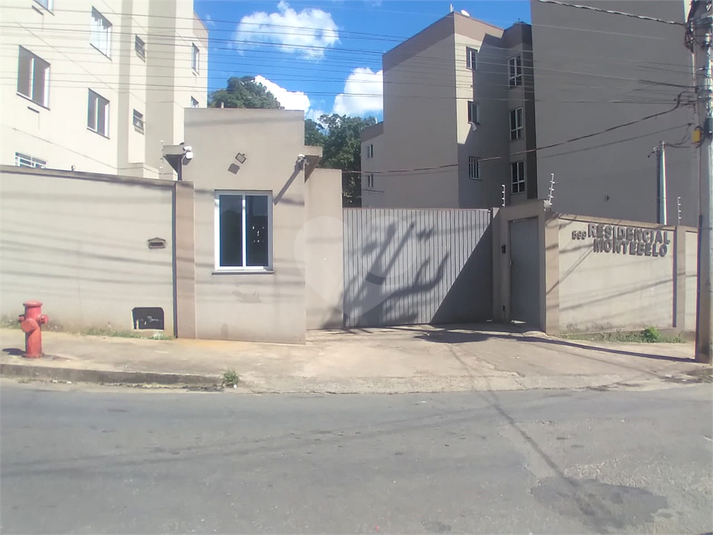 Foto REO1082527