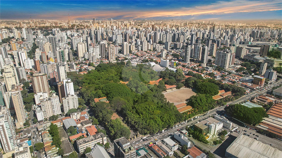 Foto REO1082535