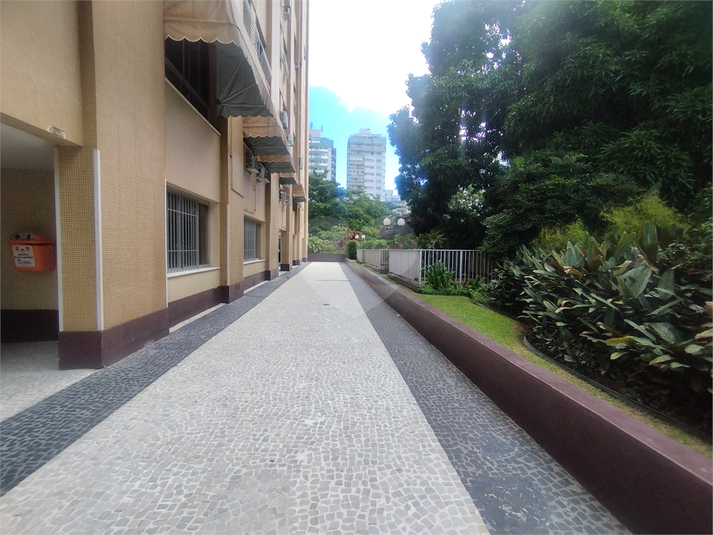 Foto REO1082537