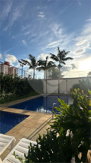 Foto REO1082545