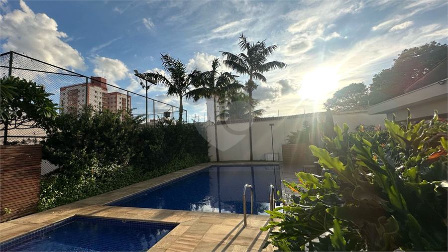 Foto REO1082545