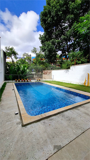 Foto REO1082550