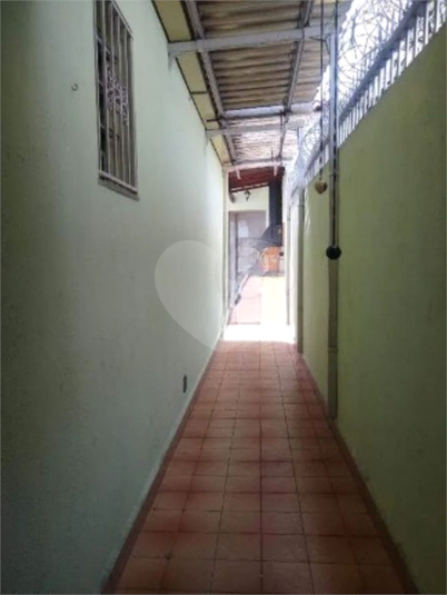 Foto REO1082558