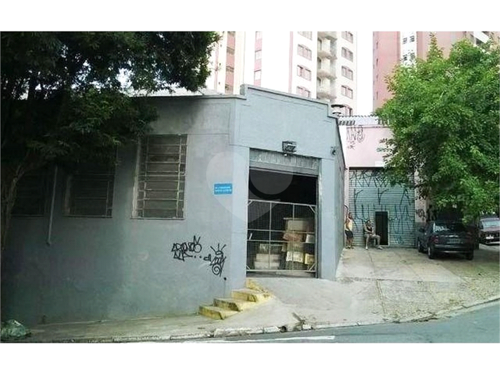Foto REO1082569