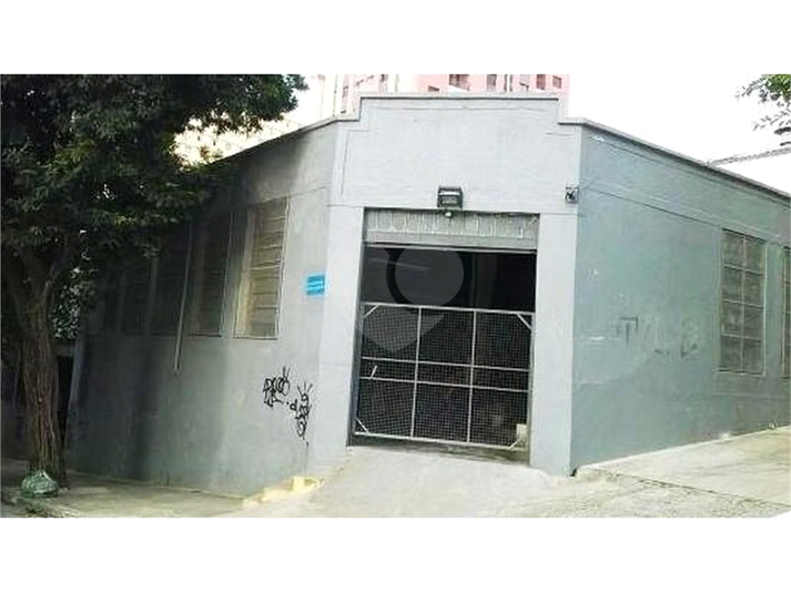 Foto REO1082569