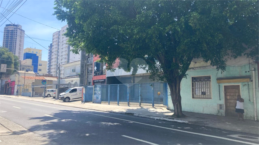Foto REO1082573