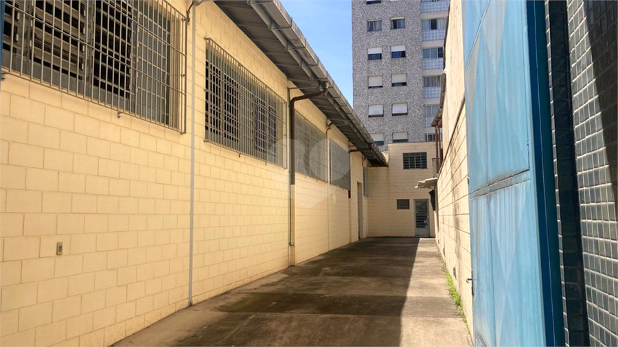 Foto REO1082573