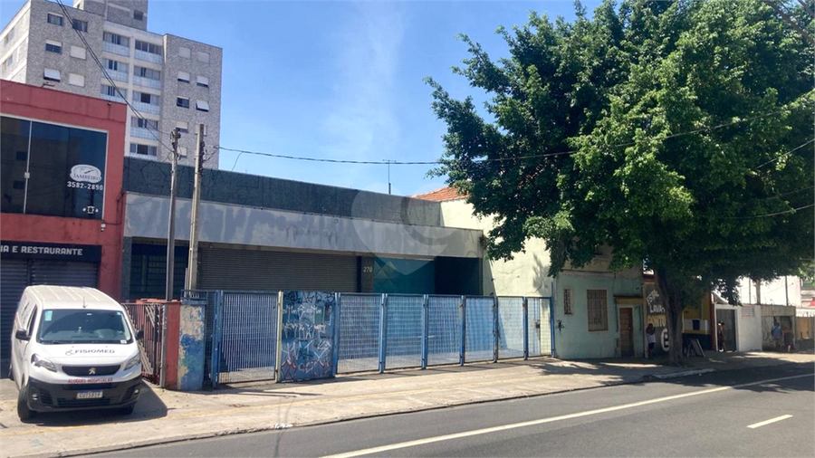 Foto REO1082573