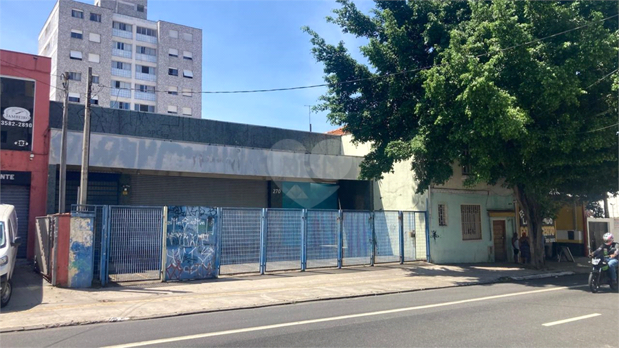 Foto REO1082573