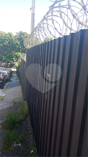 Foto REO1082585