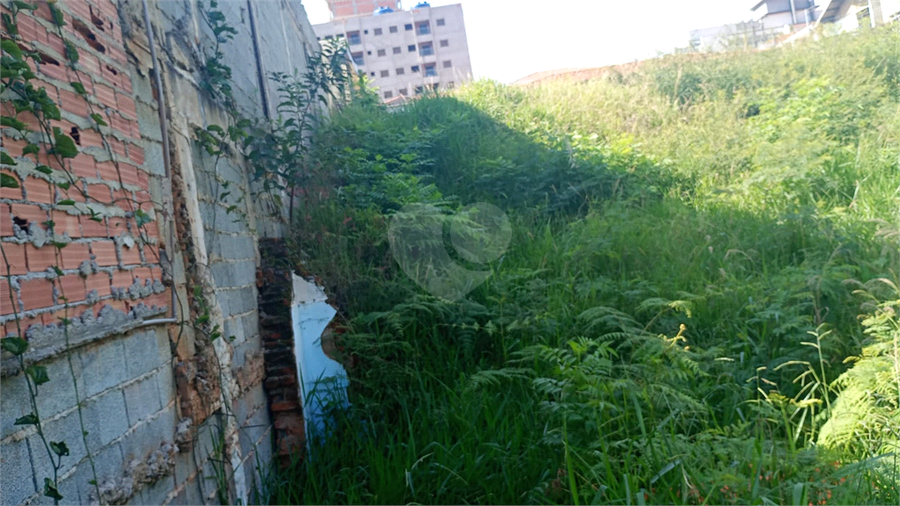 Foto REO1082585