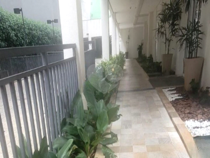 Foto REO1082588