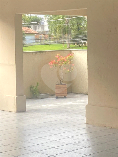 Foto REO1082596