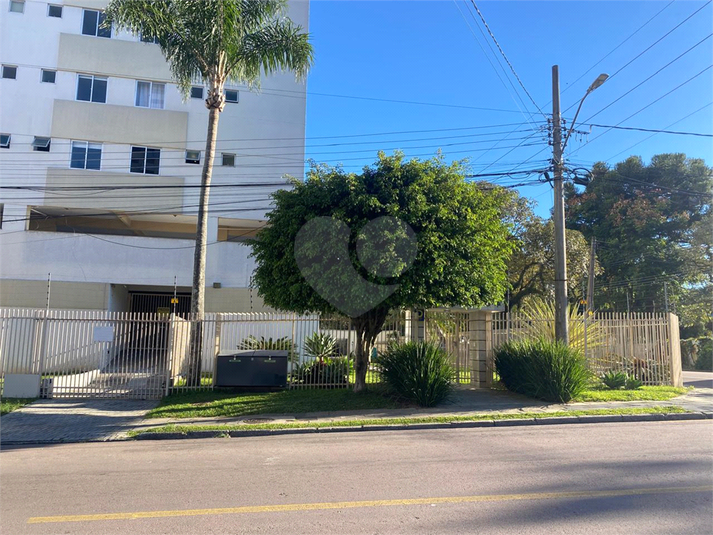 Foto REO1082596