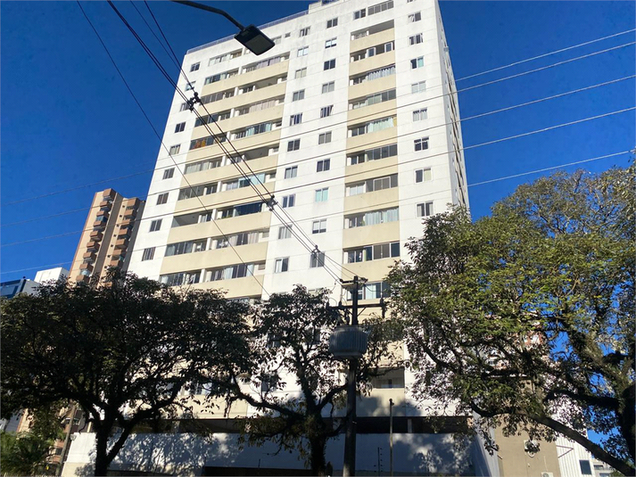 Foto REO1082596