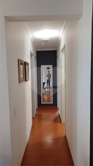 Foto REO1082610