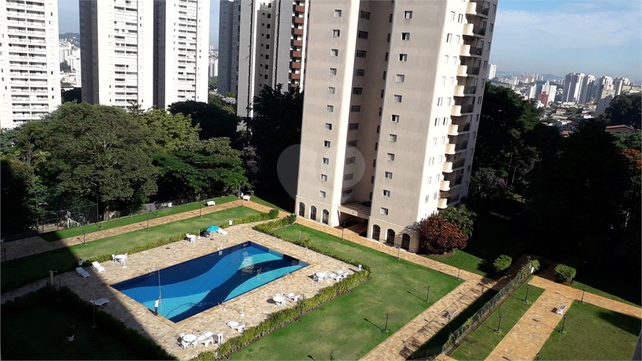 Foto REO1082610