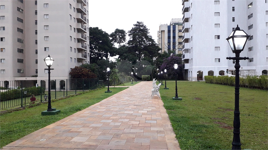 Foto REO1082610