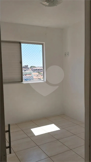 Foto REO1082620