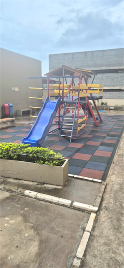 Foto REO1082626