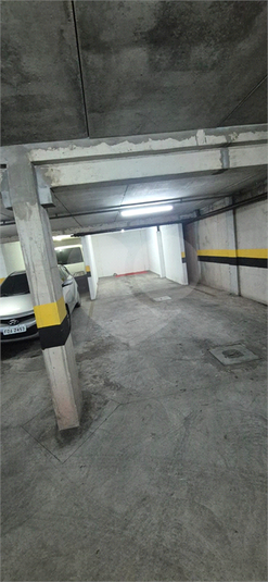 Foto REO1082626