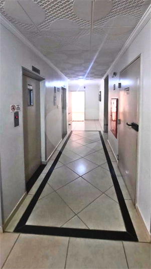 Foto REO1082630