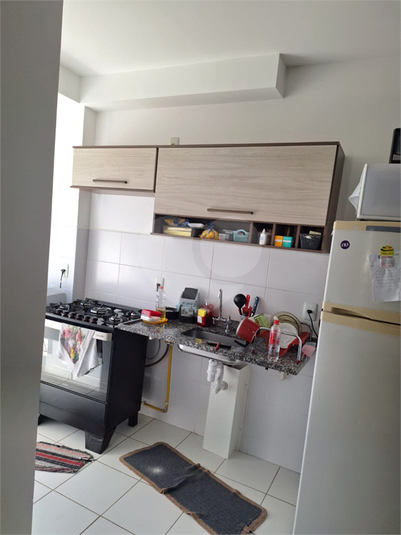 Foto REO1082635
