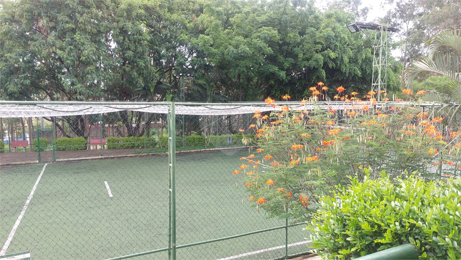 Foto REO1082658
