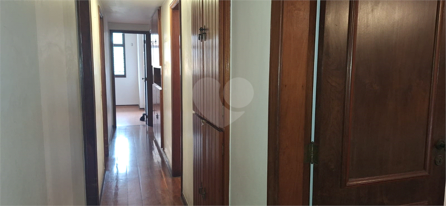 Foto REO1082674