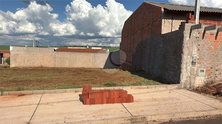Foto REO1082684