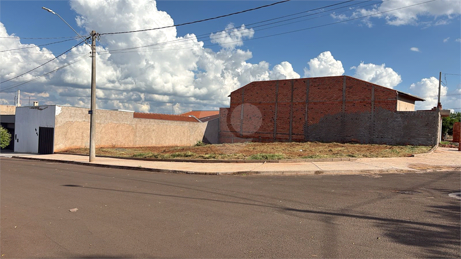 Foto REO1082684