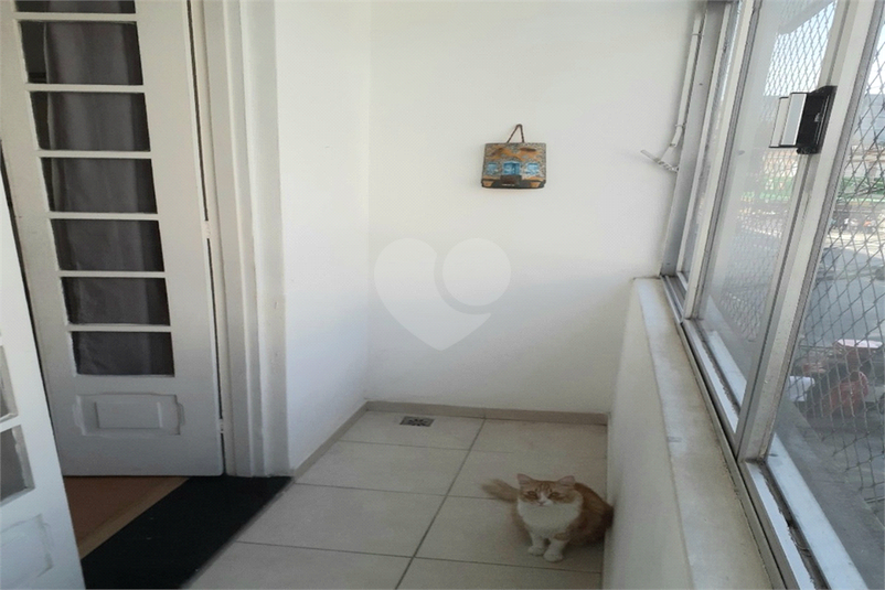 Foto REO1082704