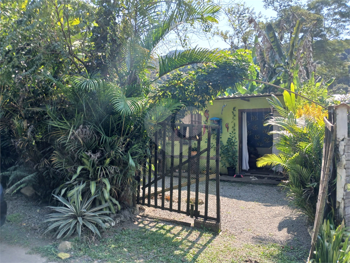 Foto REO1082732