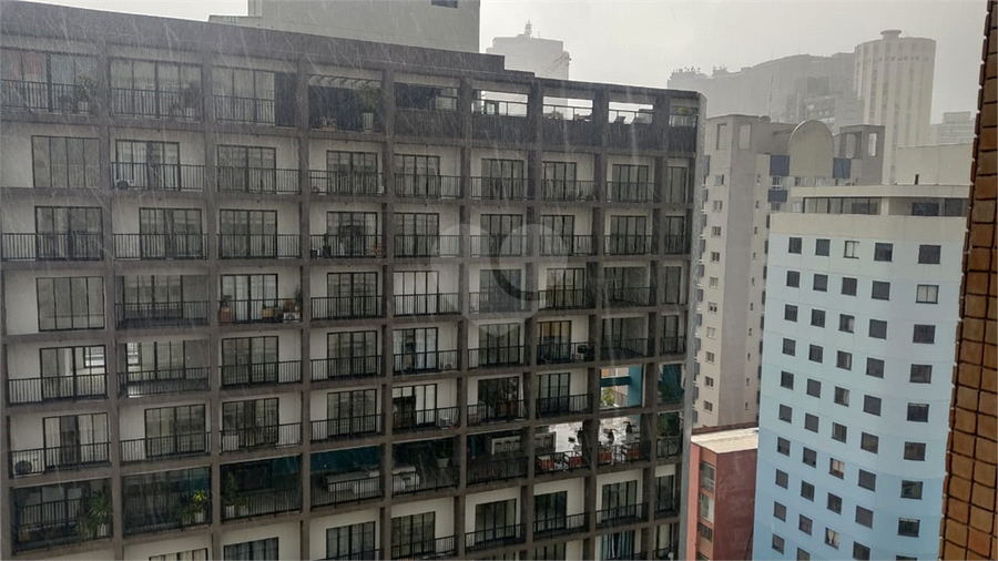 Foto REO1082739