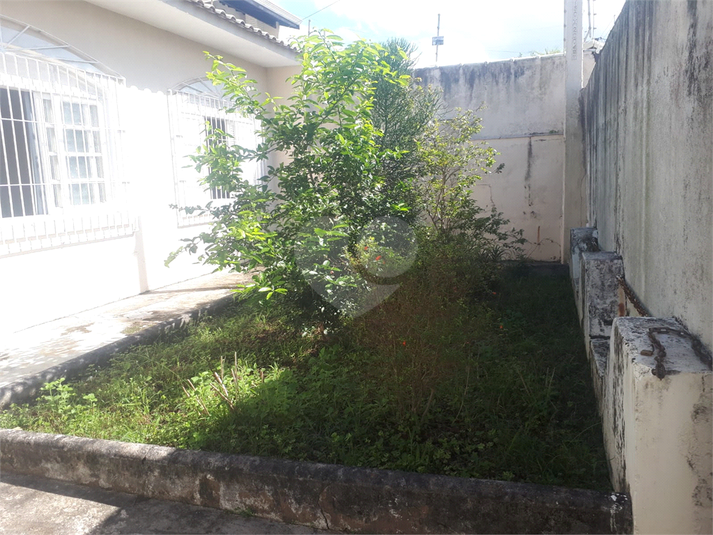 Foto REO1082764