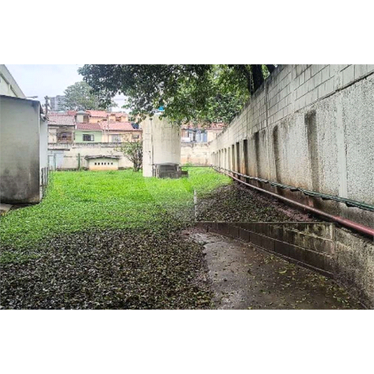 Foto REO1082819