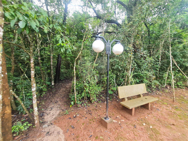 Foto REO1082825