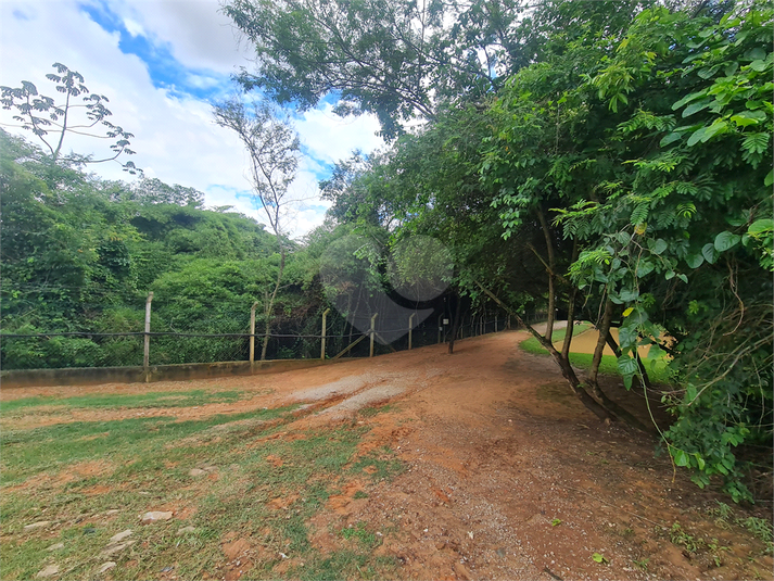 Foto REO1082825
