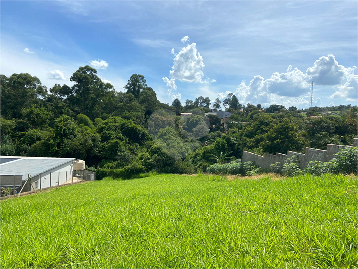 Foto REO1082826
