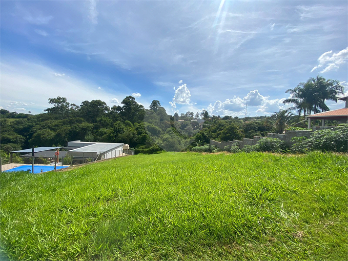 Foto REO1082826
