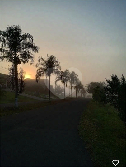 Foto REO1082826