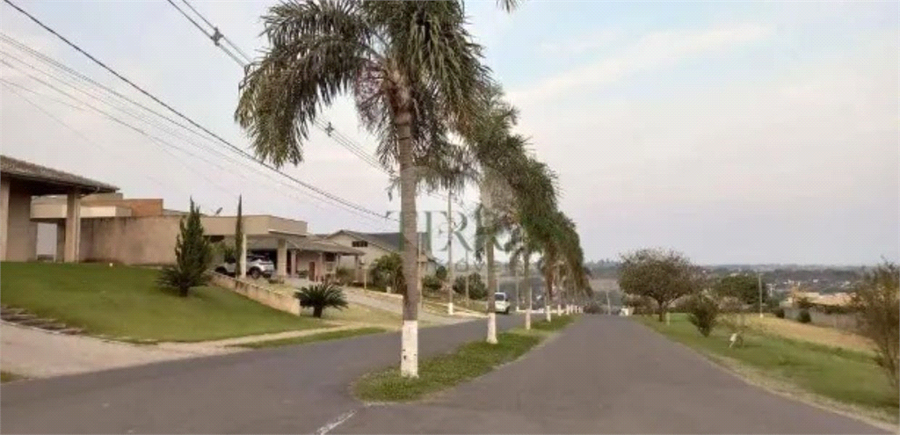 Foto REO1082826