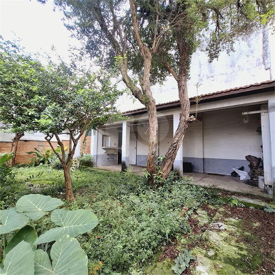 Foto REO1082834