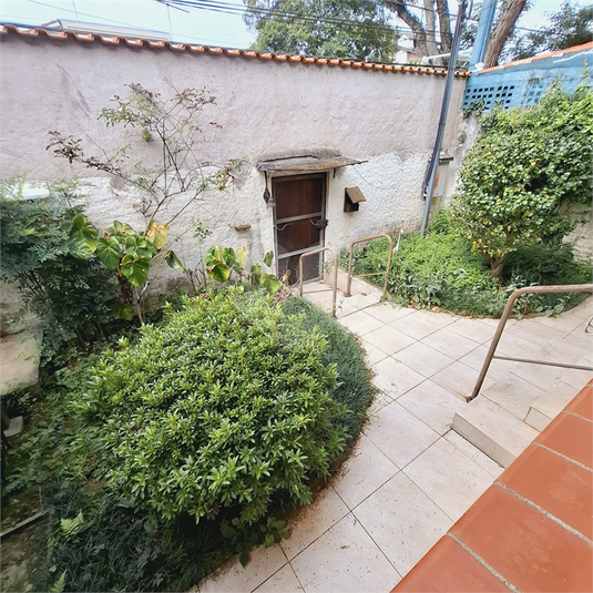 Foto REO1082834