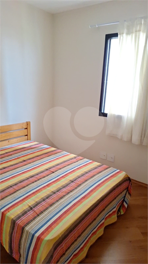 Foto REO1082840